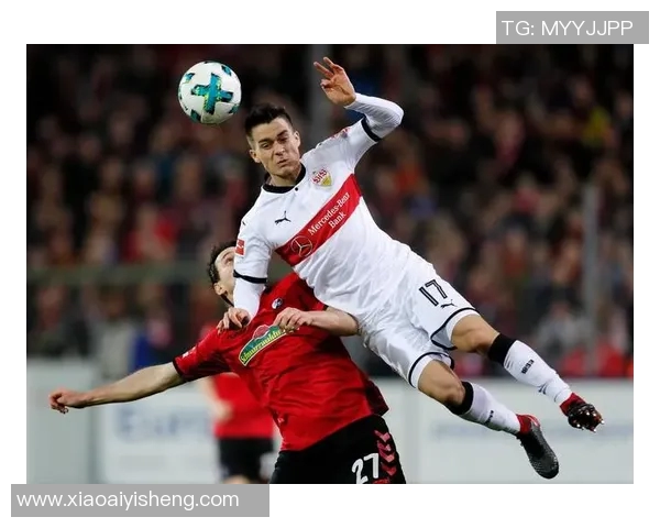 2017年汉堡队与美因茨队激战回顾精彩瞬间与战术分析